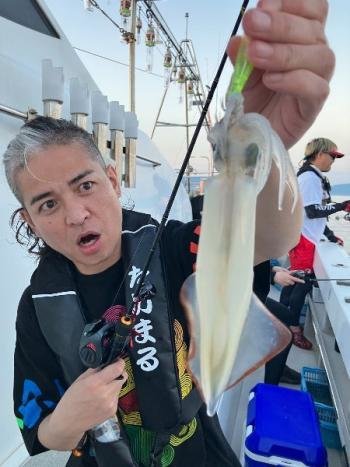 マイカ(ケンサキイカ)