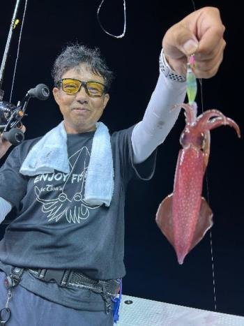 マイカ(ケンサキイカ)