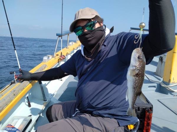 ショウサイフグ