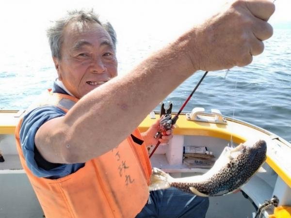 ショウサイフグ