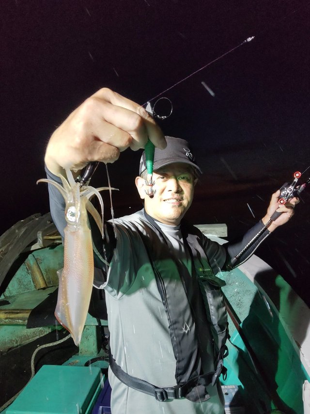 シロイカ(ケンサキイカ)