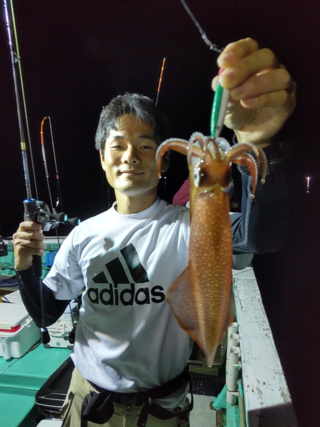 シロイカ(ケンサキイカ)