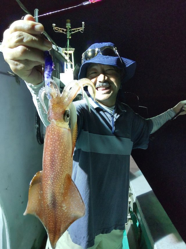 シロイカ(ケンサキイカ)