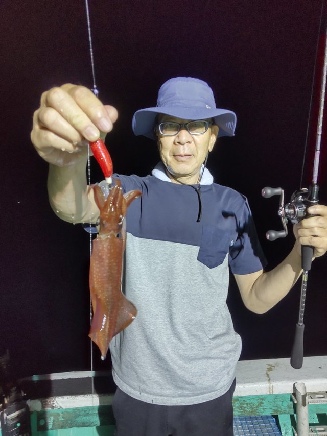 シロイカ(ケンサキイカ)