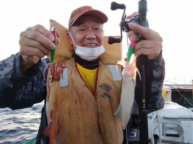 イカ(ヤリイカ)