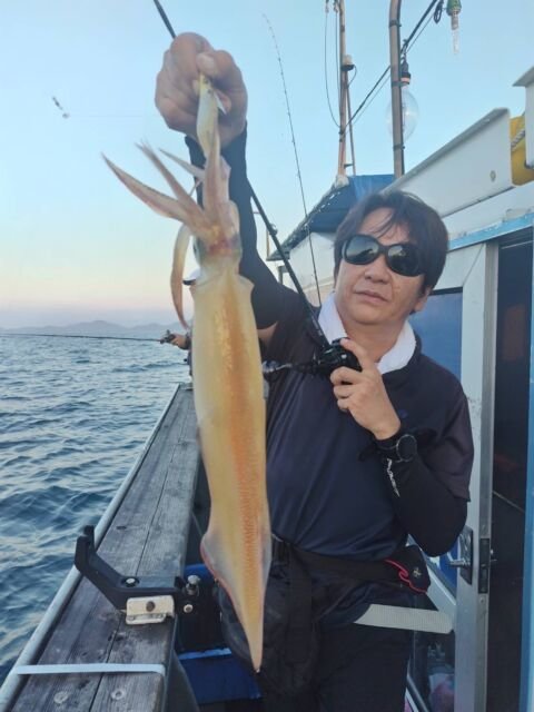 イカ(ヤリイカ)