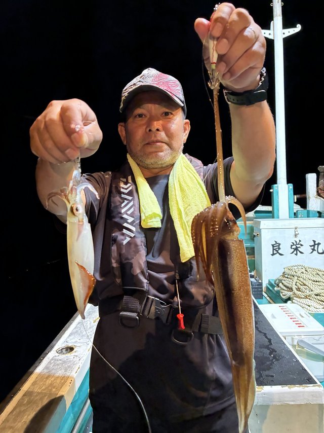 アカイカ(ケンサキイカ)