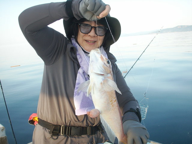 アマダイ(アカアマダイ)