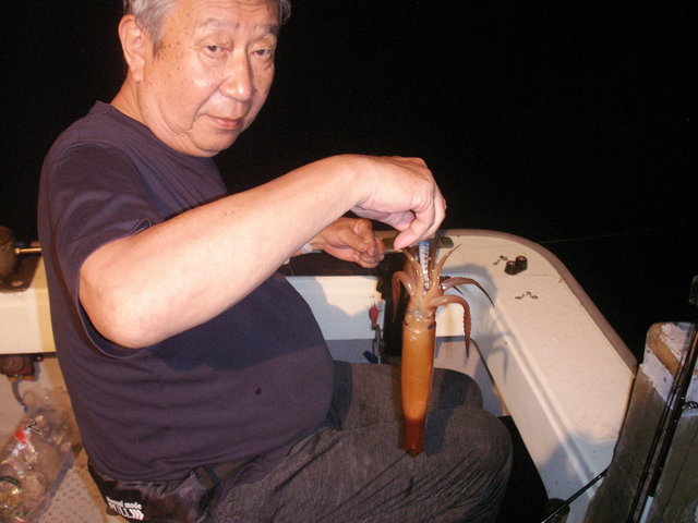 スルメ(スルメイカ)