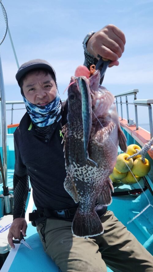 マゾイ(キツネメバル)