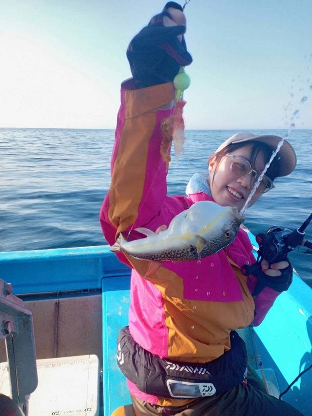 ショウサイフク(ショウサイフグ)