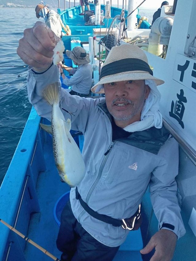 ショウサイフク(ショウサイフグ)