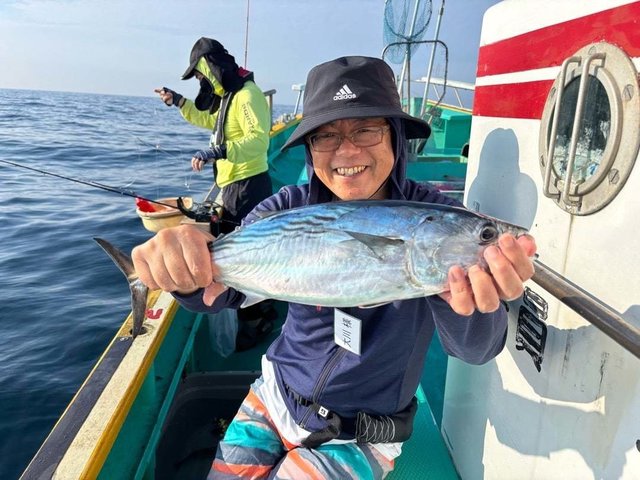 スマガツオ(スマ)