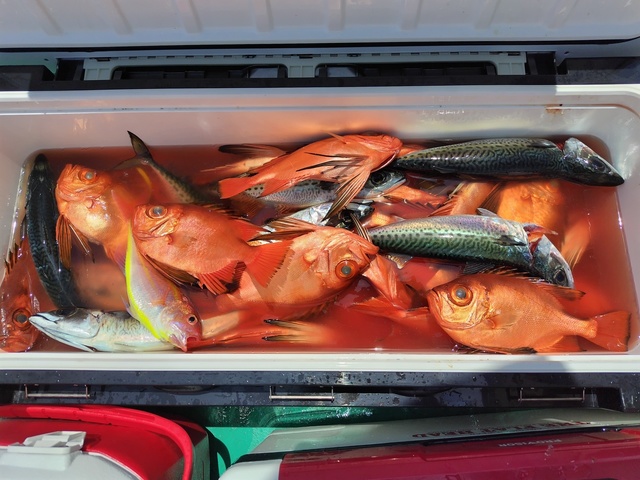 チカメキントキ