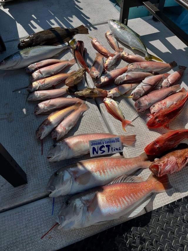 キジハタ・ブリ・アマダイ(アカアマダイ)・イトヨリ(イトヨリダイ)・カサゴ・ホウボウ・ヒラメ