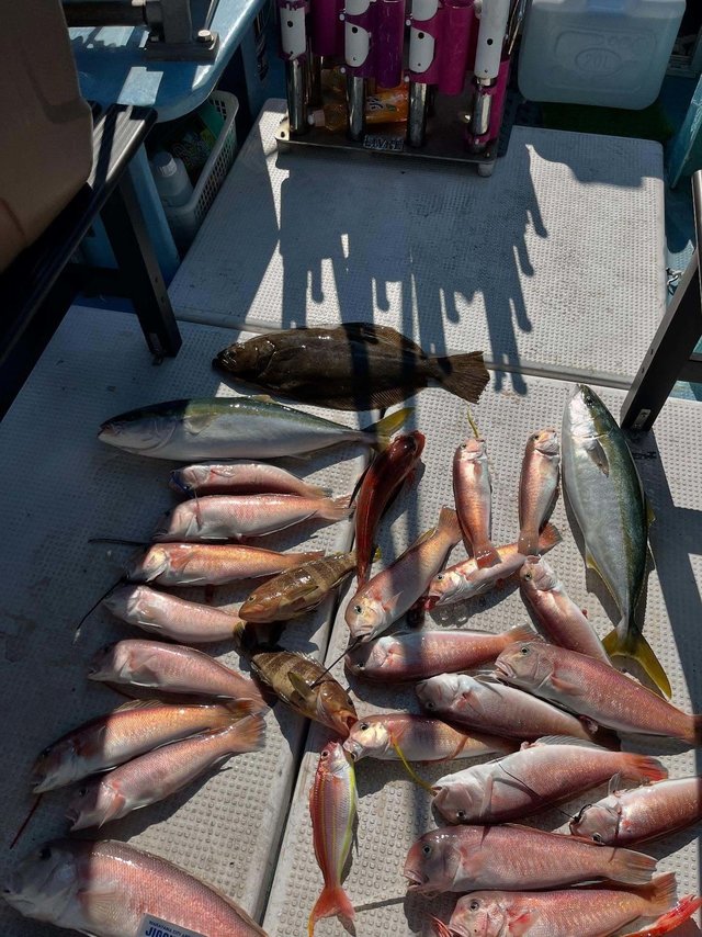 キジハタ・ブリ・アマダイ(アカアマダイ)・イトヨリ(イトヨリダイ)・カサゴ・ホウボウ・ヒラメ
