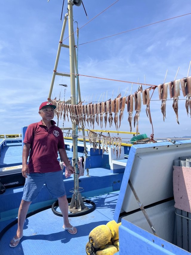 スルメ(スルメイカ)