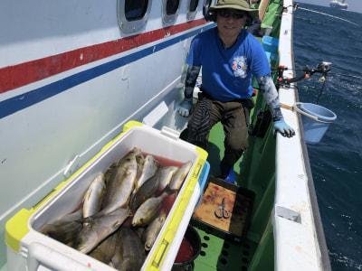 イサギ(イサキ)