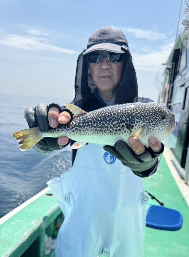 ショウサイフグ