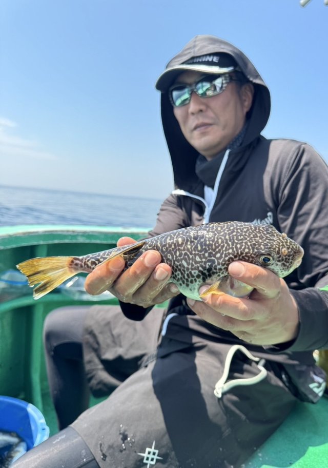 ショウサイフグ