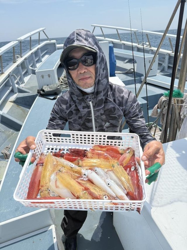 マルイカ(ケンサキイカ)