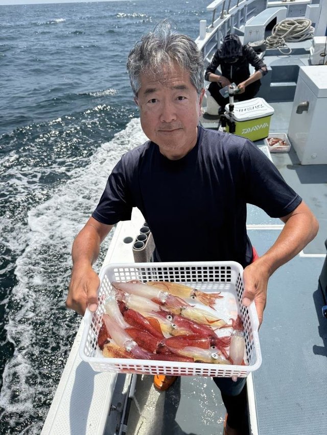 マルイカ(ケンサキイカ)