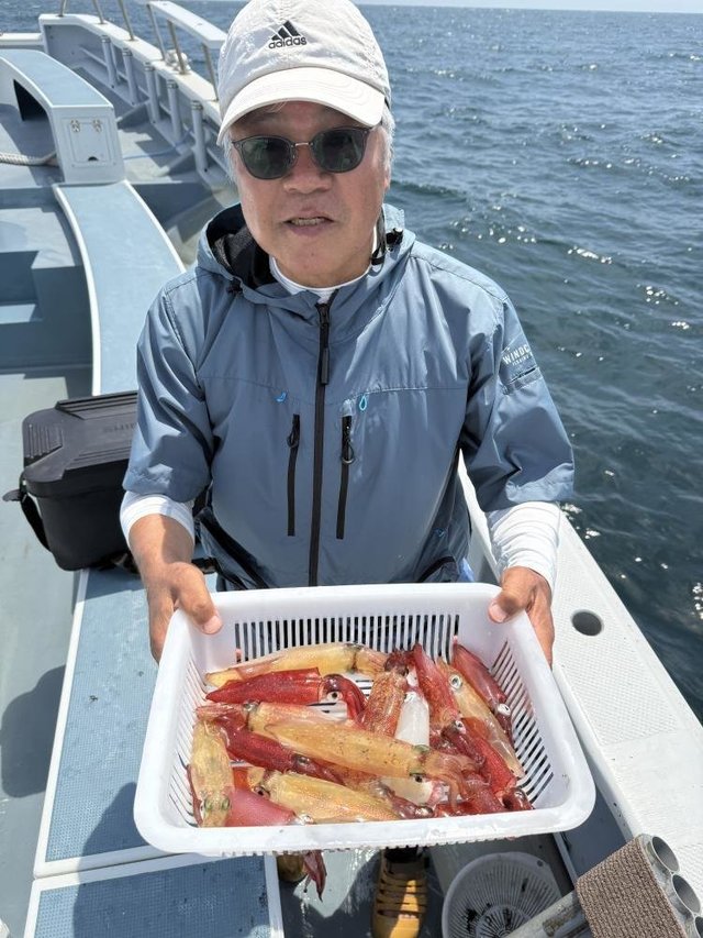 マルイカ(ケンサキイカ)