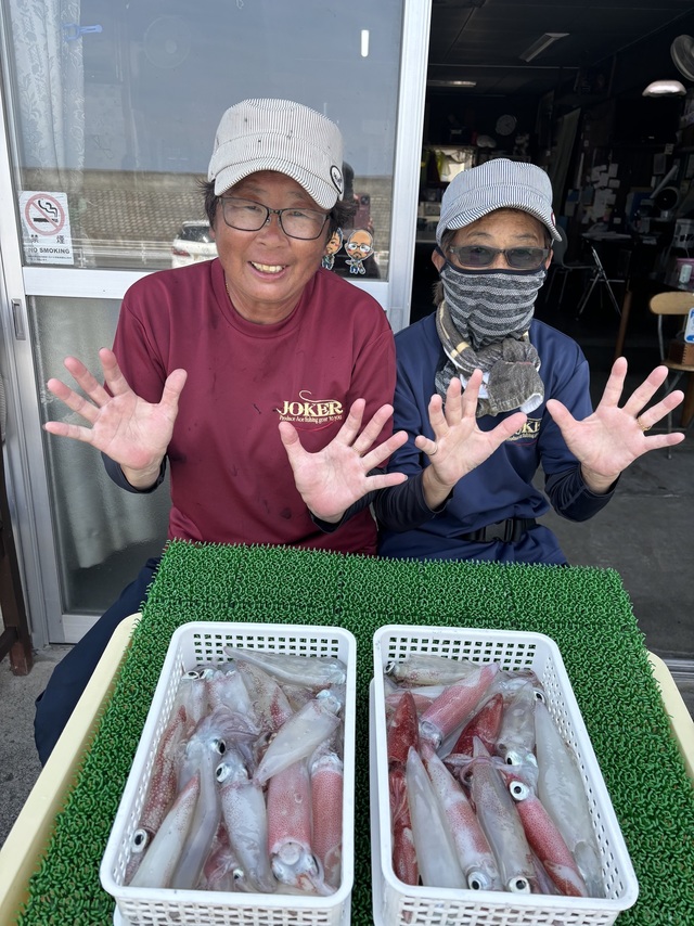 マルイカ(ケンサキイカ)