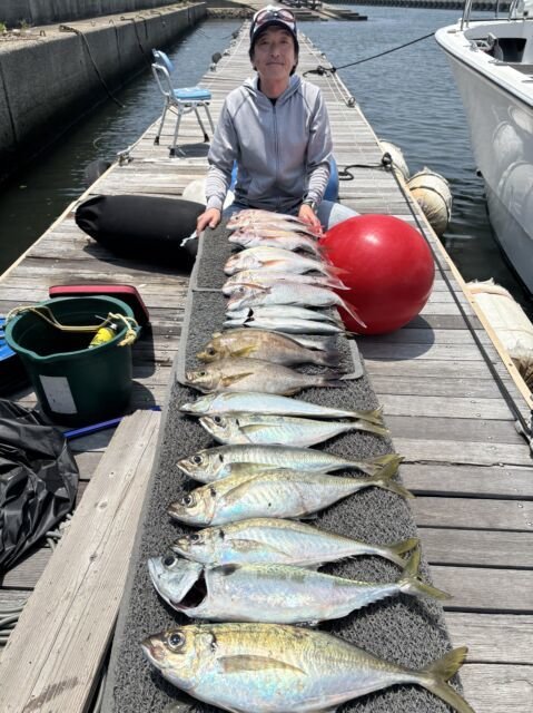 マダイ・オニアジ・イサキ・サバ(ゴマサバ)