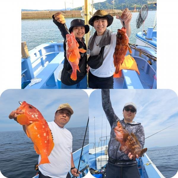 アカハタ・オオモンハタ・キジハタ