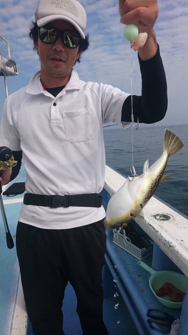 ショウサイフグ