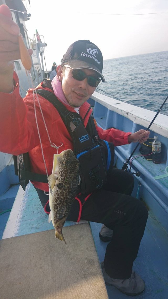 ショウサイフグ