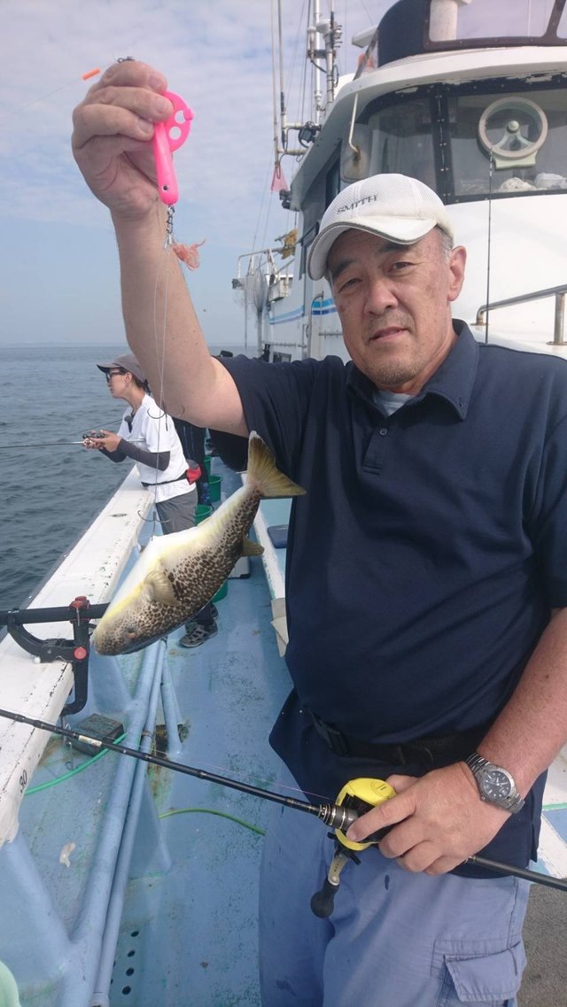 ショウサイフグ