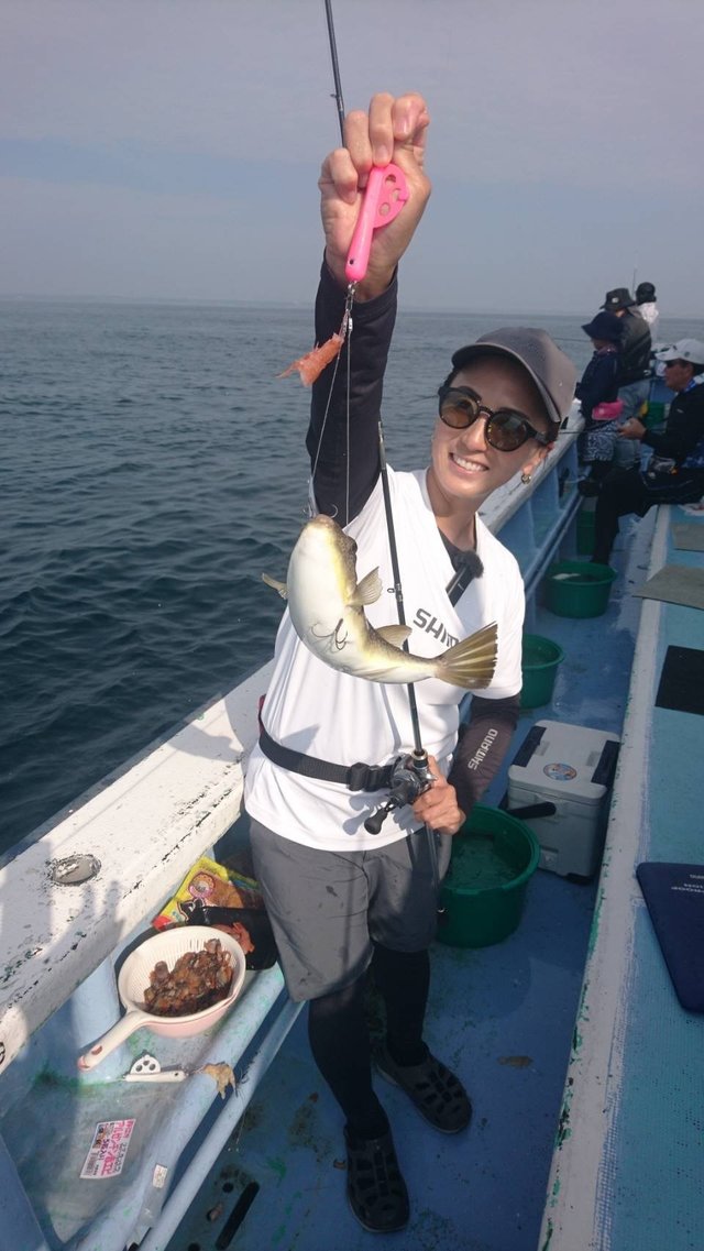 ショウサイフグ