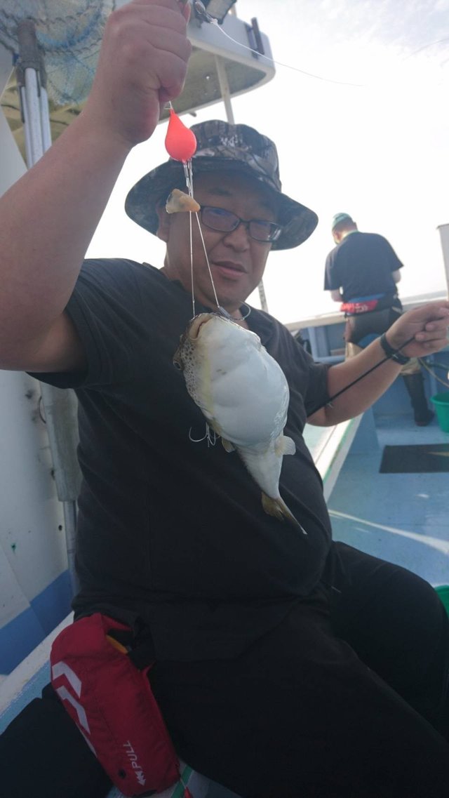 ショウサイフグ