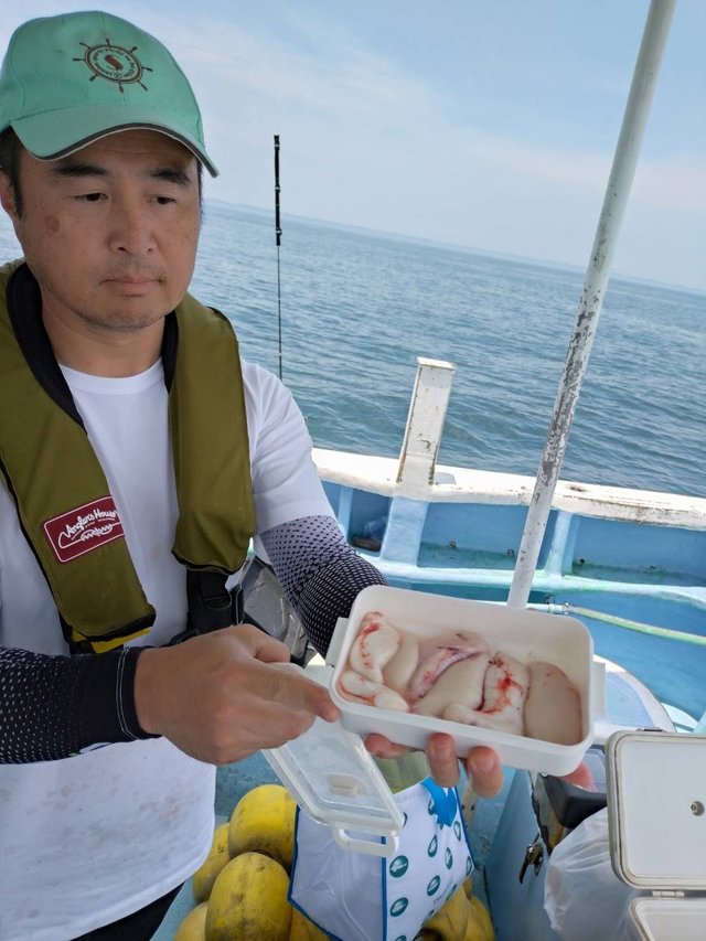 ショウサイフグ