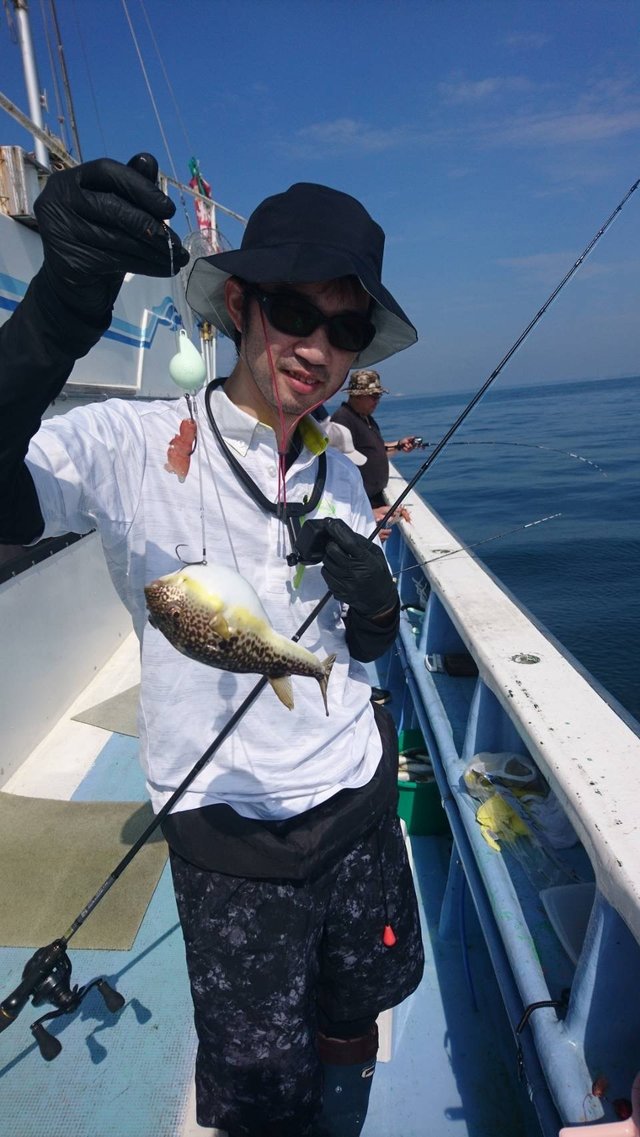 ショウサイフグ