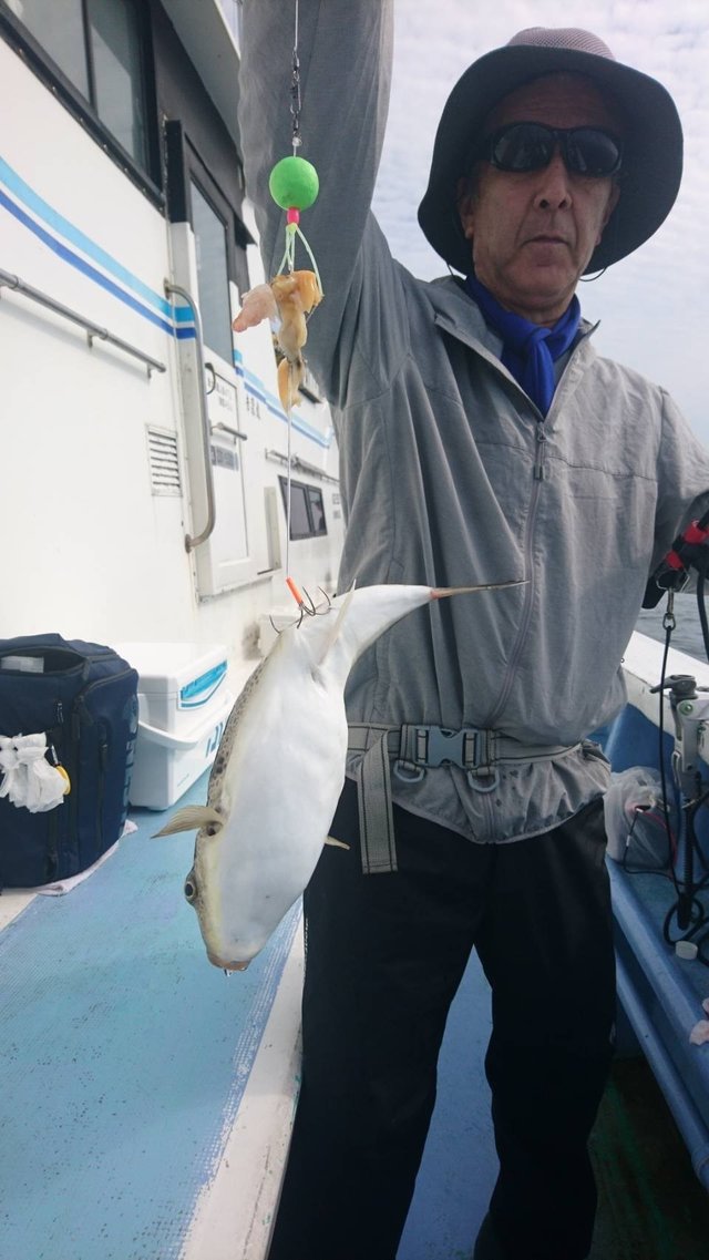 ショウサイフグ