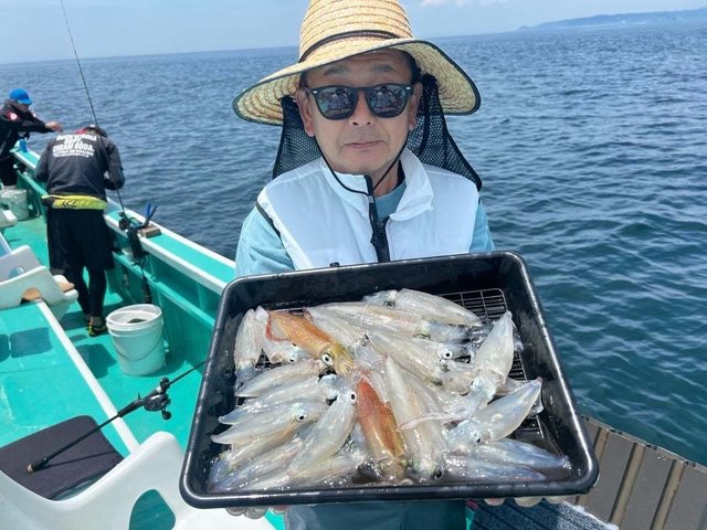 マルイカ(ケンサキイカ)