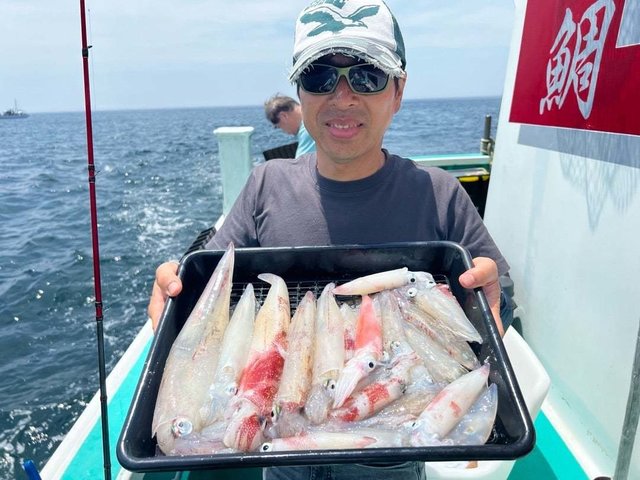 マルイカ(ケンサキイカ)