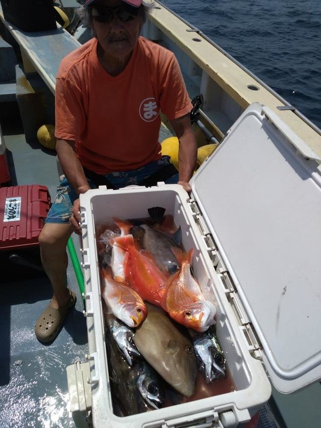 レンコダイ(キダイ)・アカイサキ・ウマヅラハギ