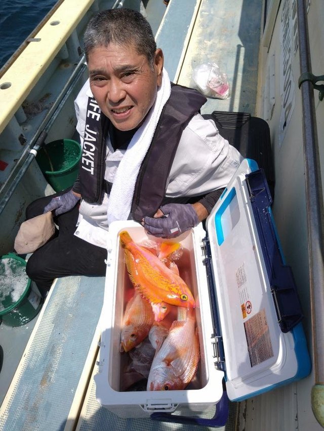 レンコダイ(キダイ)・アカイサキ