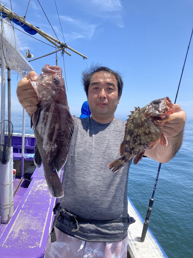 カサゴ・ハタ(マハタ)