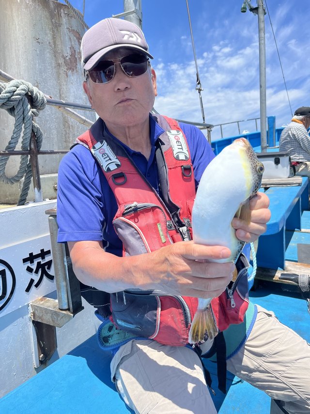 フグ(ショウサイフグ)