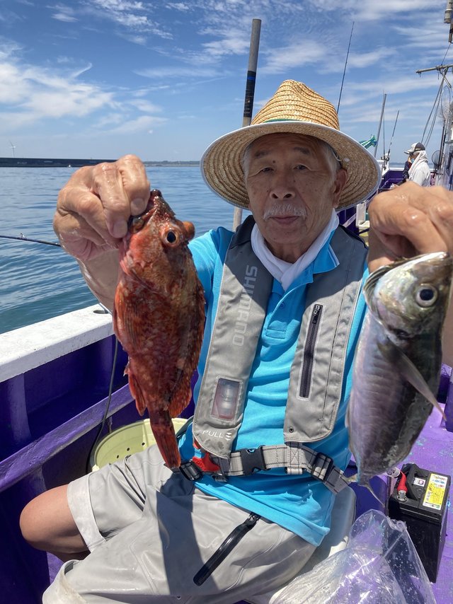 アジ(マアジ)・カサゴ