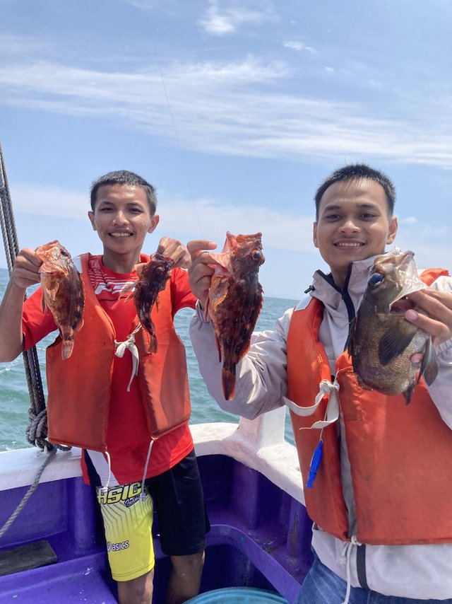 カサゴ・メバル