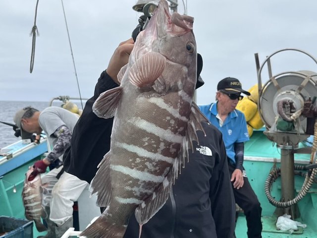 タカバ(マハタ)