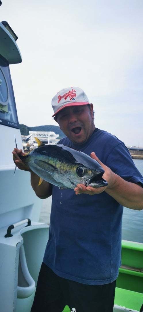 キメジ(キハダ)