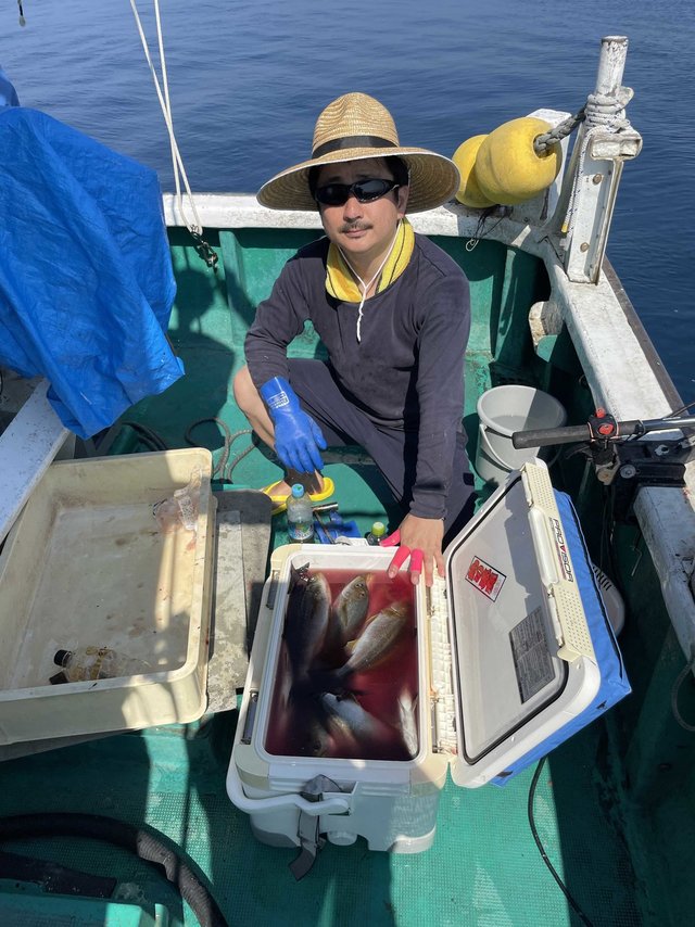 イサギ(イサキ)