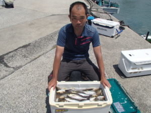 マアジ・イサキ